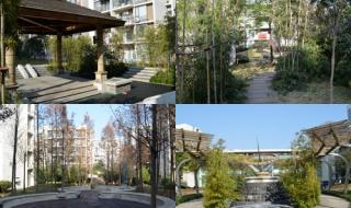 香格里拉花园 香格里拉花园